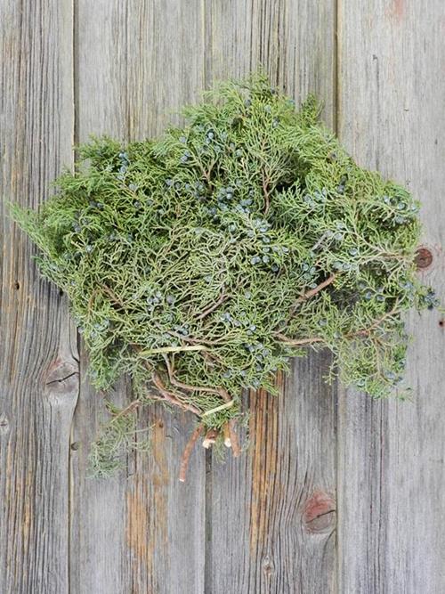 JUNIPER PINE CHRISTMAS GREENS